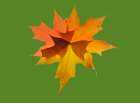 USA-Washington State Autumn colored maple leaves still-life with green background Art Print